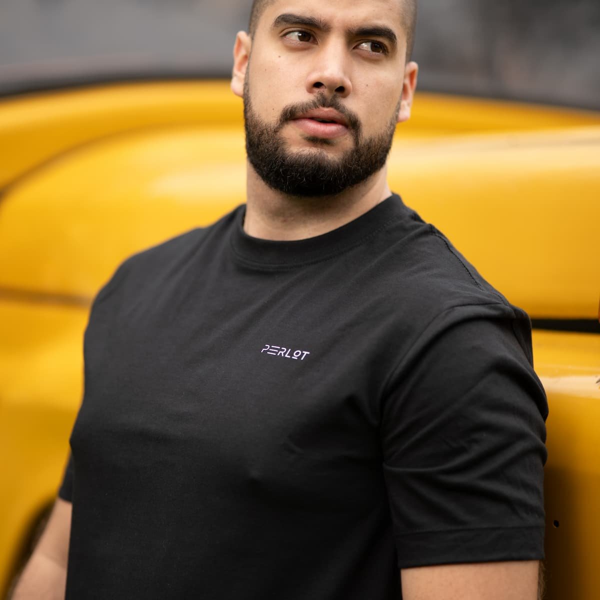 Camiseta Oso de Anteojos - Image 3