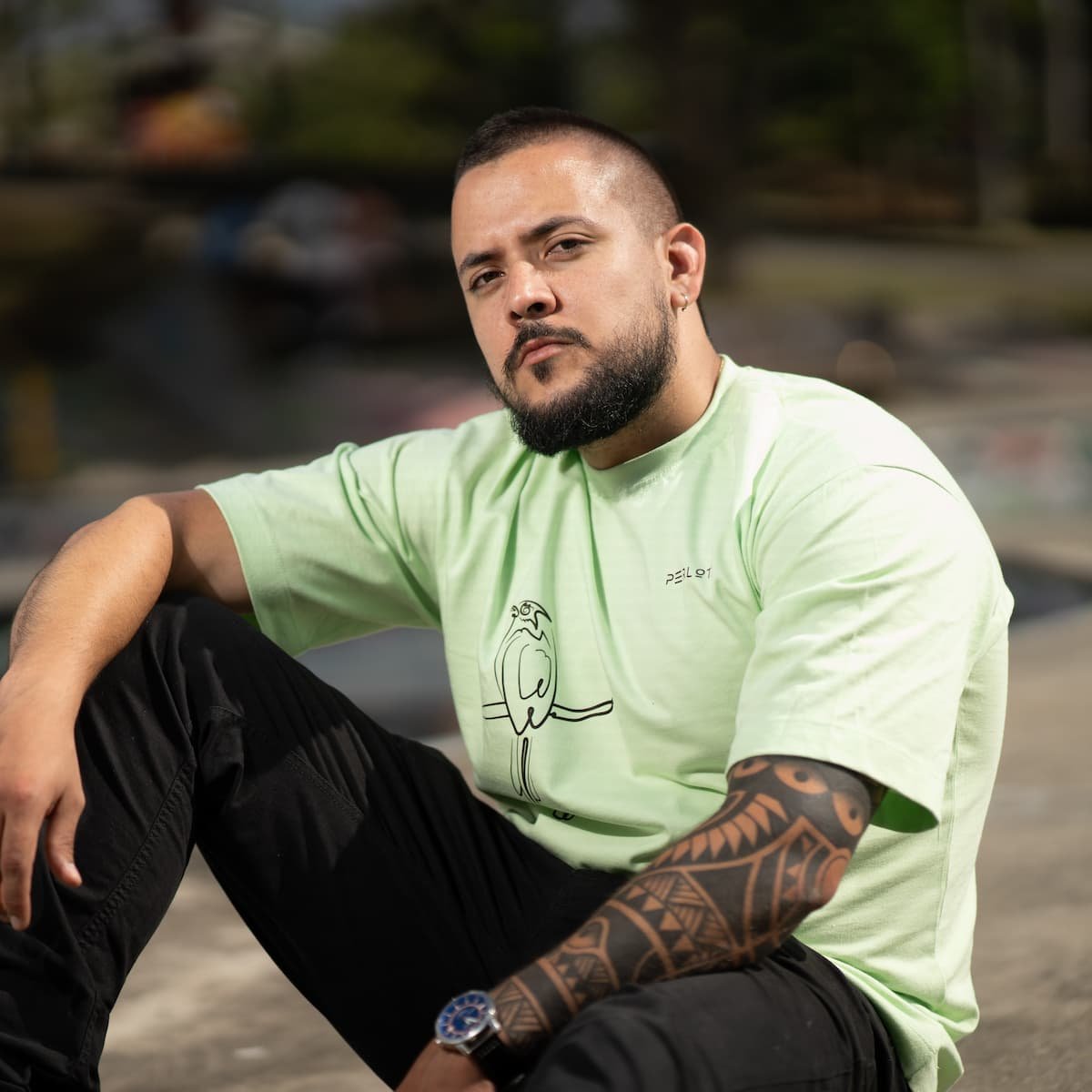 camiseta oversize, ave barranquera, verde pistacho