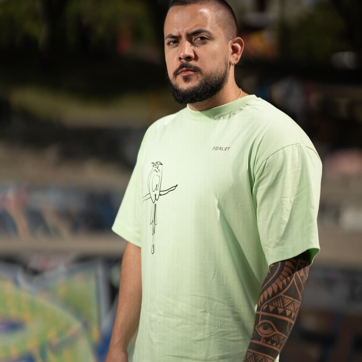 camiseta oversize, ave barranquera, verde pistacho