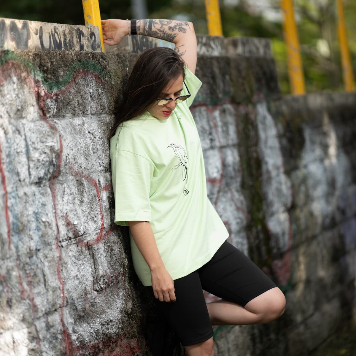 camiseta oversize, ave barranquera, verde pistacho