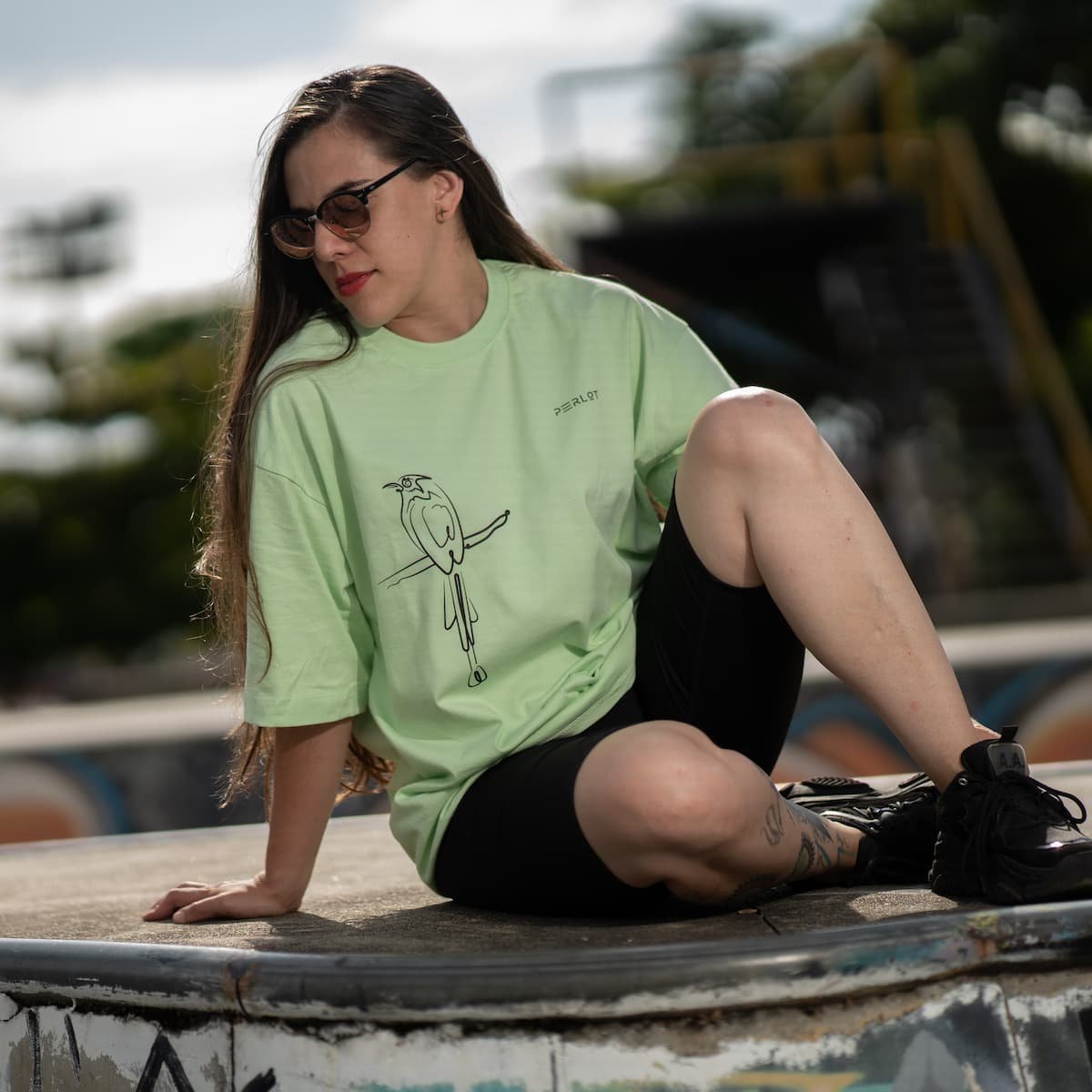 camiseta oversize, ave barranquera, verde pistacho