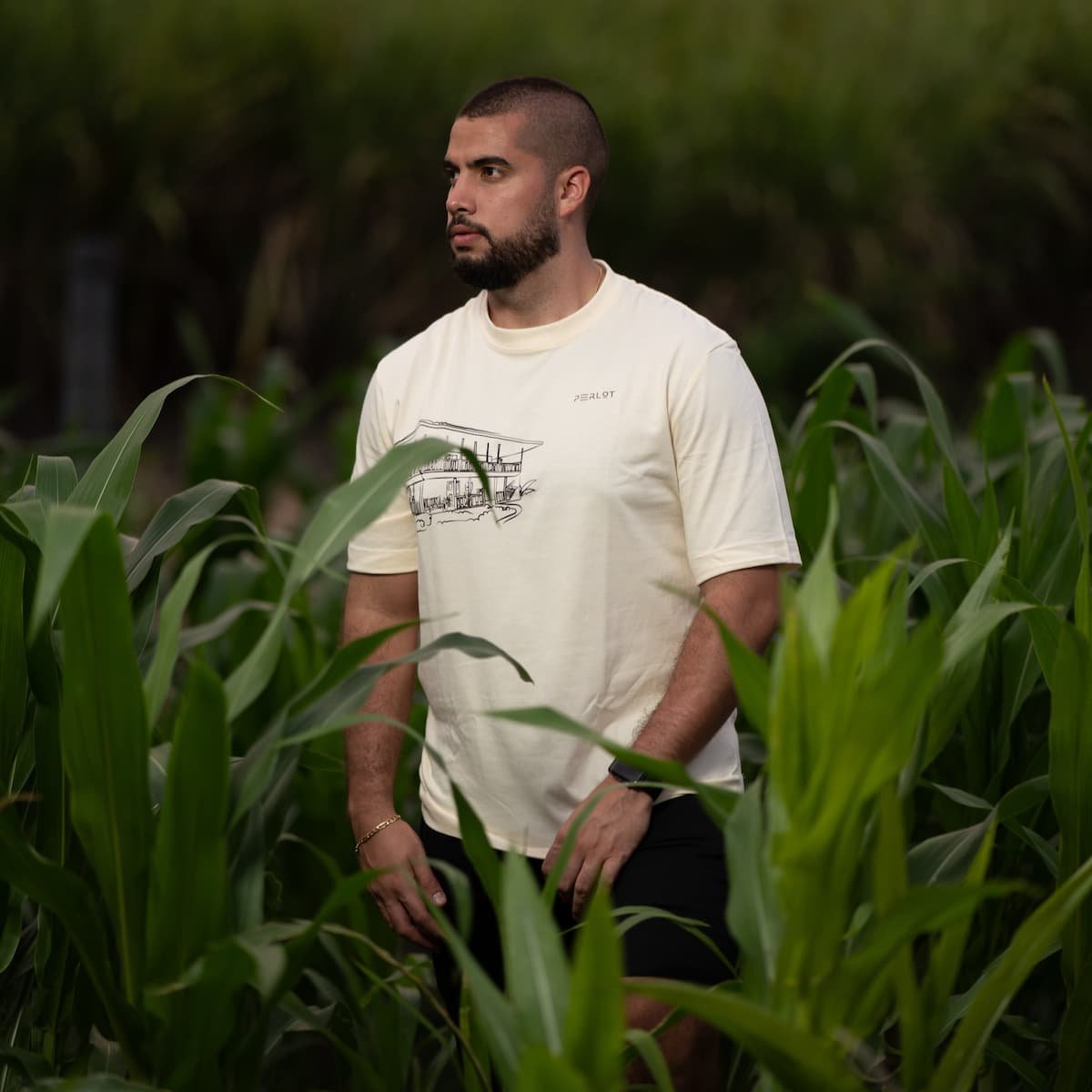 Camiseta Casa Cafetera - Image 2